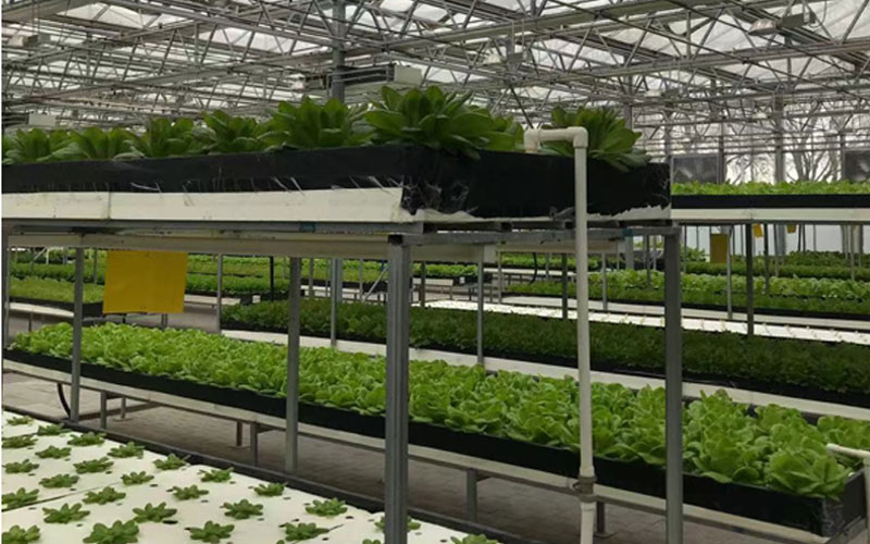 ca888亚洲城(中国游)官方网站